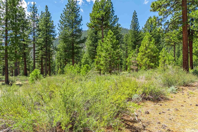 89 E Fork Dr, Carson City, NV 89705