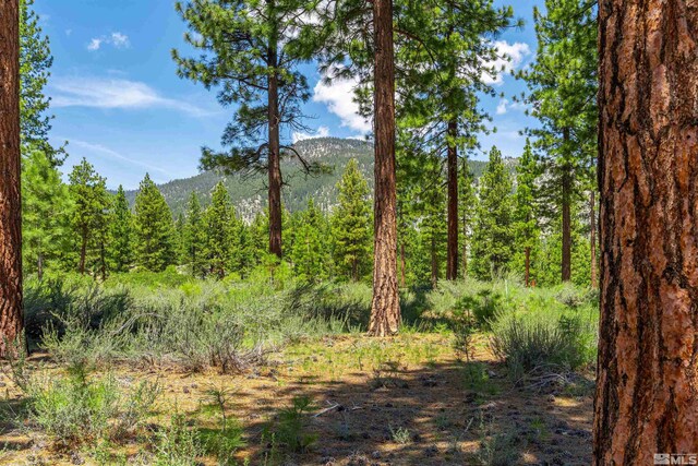 89 E Fork Dr, Carson City, NV 89705