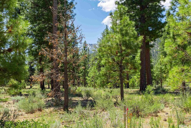 89 E Fork Dr, Carson City, NV 89705