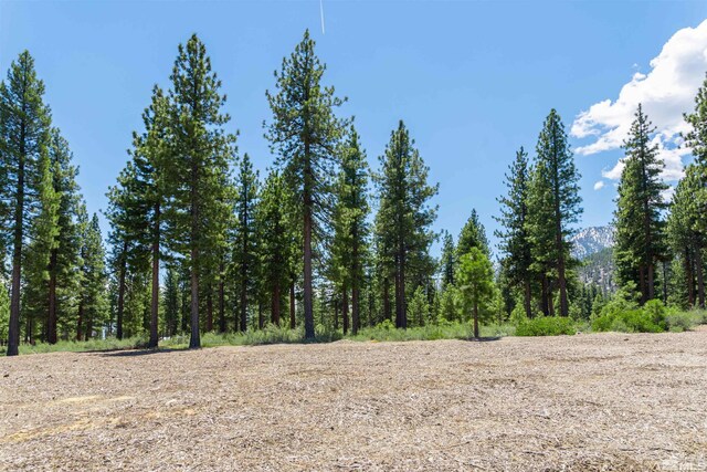 89 E Fork Dr, Carson City, NV 89705