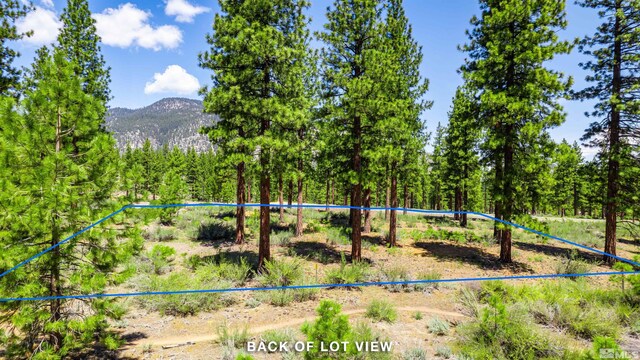 89 E Fork Dr, Carson City, NV 89705