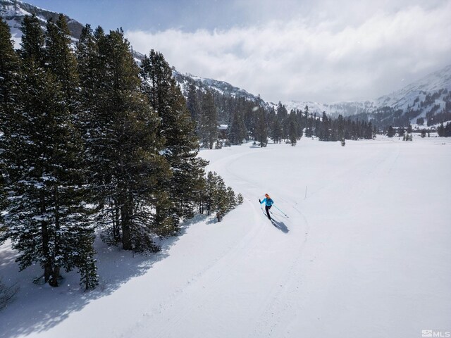  - photo 14