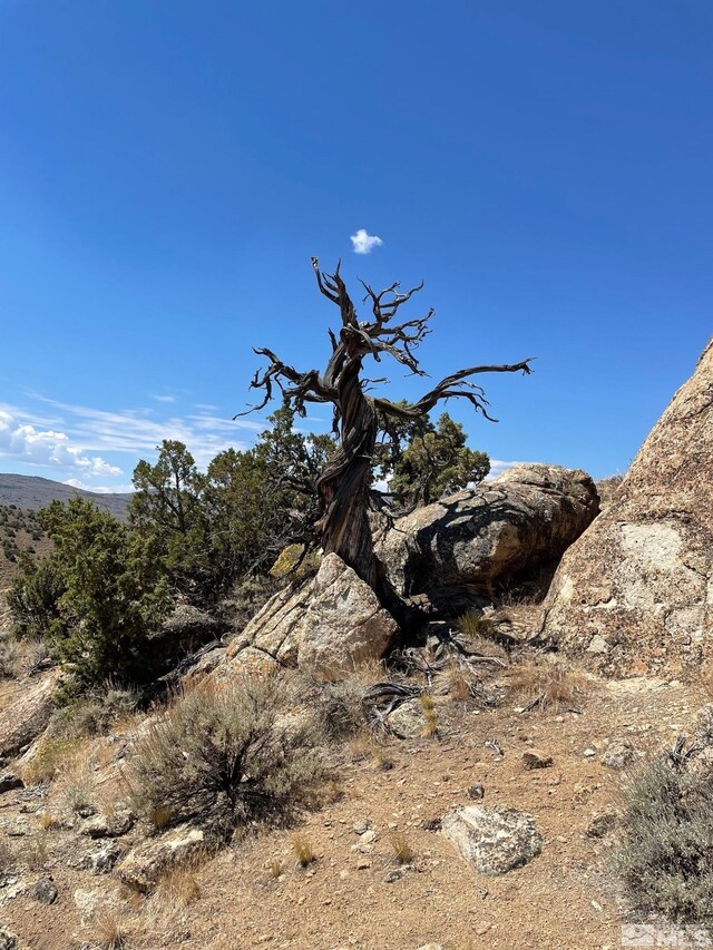 0 Wilcox Ranch Rd, Reno, NV 89510
