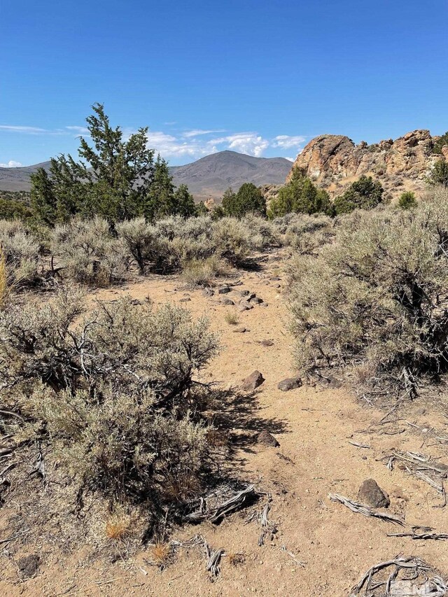 0 Wilcox Ranch Rd, Reno, NV 89510