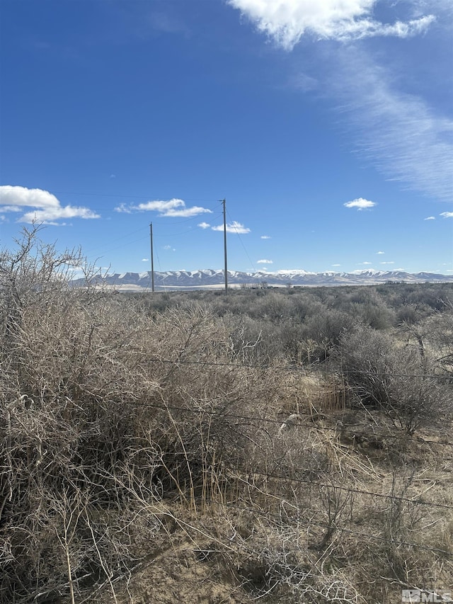 SR 290, Winnemucca, NV 89445