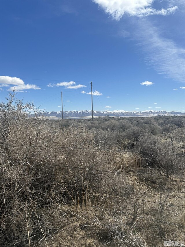 SR 290, Winnemucca, NV 89445