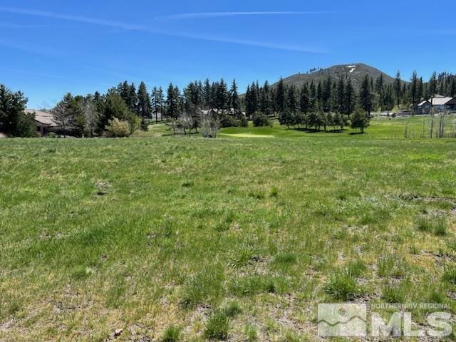 41LIGHTNING W Ranch Rd, Washoe Valley, NV 89704
