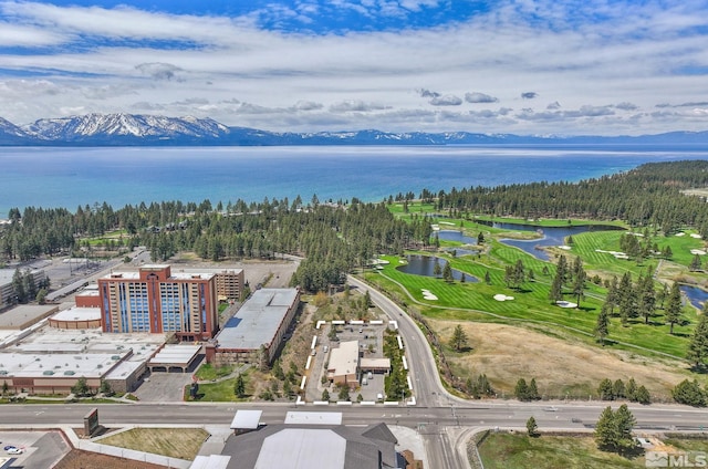 110 Lake Pkwy, Stateline, NV 89449