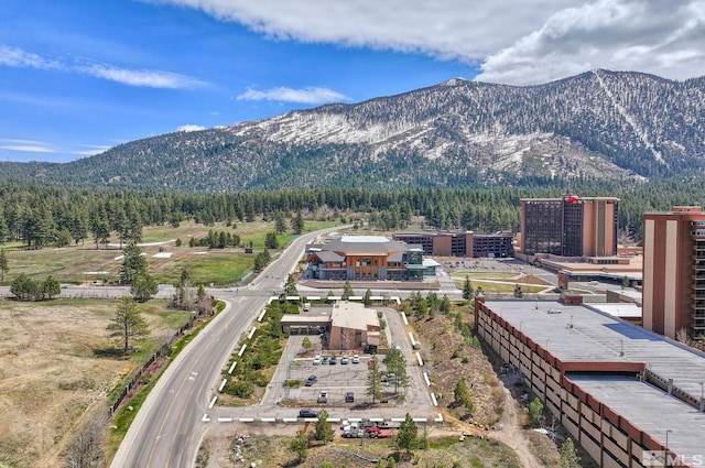 110 Lake Pkwy, Stateline, NV 89449