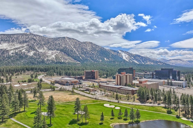 110 Lake Pkwy, Stateline, NV 89449