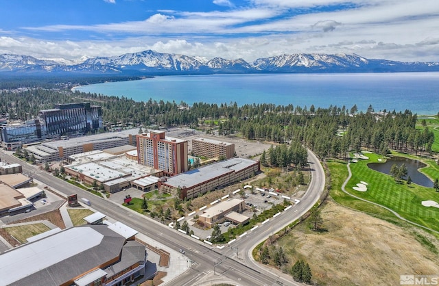 110 Lake Pkwy, Stateline, NV 89449