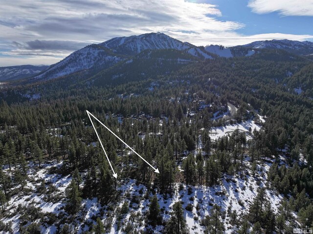 123 Mountain Haven Ln, Reno, NV 89511