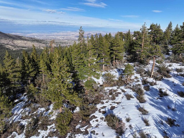 123 Mountain Haven Ln, Reno, NV 89511
