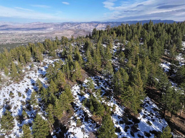 123 Mountain Haven Ln, Reno, NV 89511
