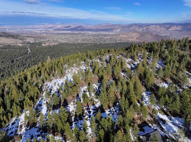 123 Mountain Haven Ln, Reno, NV 89511