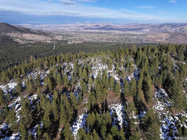 123 Mountain Haven Ln, Reno, NV 89511