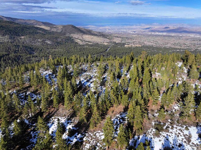 123 Mountain Haven Ln, Reno, NV 89511