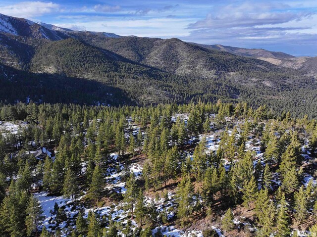 123 Mountain Haven Ln, Reno, NV 89511