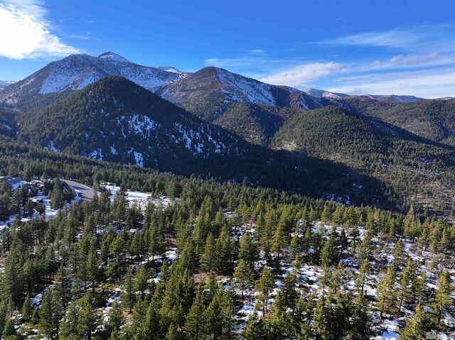 123 Mountain Haven Ln, Reno, NV 89511