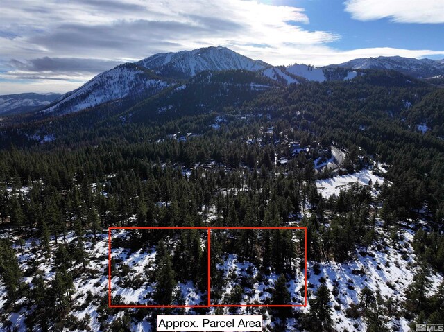 123 Mountain Haven Ln, Reno, NV 89511