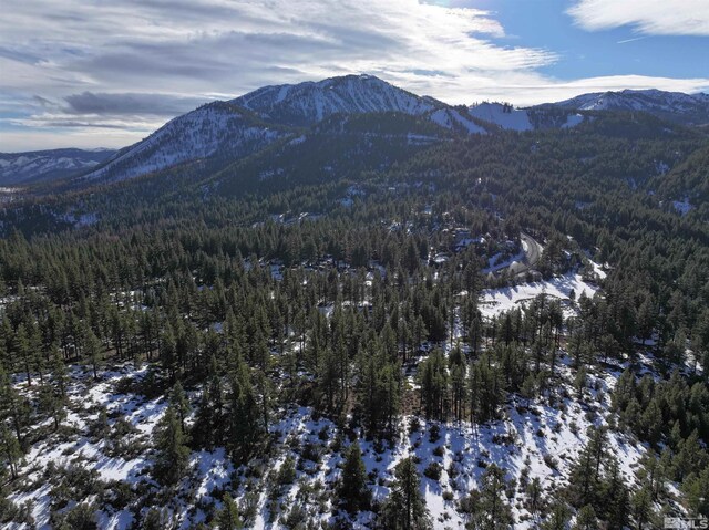 123 Mountain Haven Ln, Reno, NV 89511