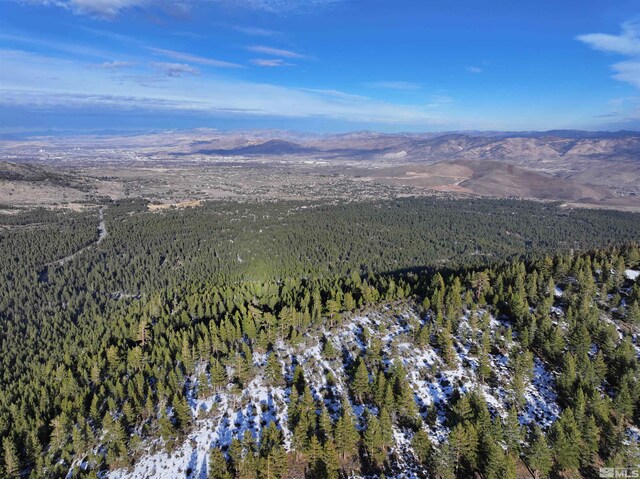 123 Mountain Haven Ln, Reno, NV 89511
