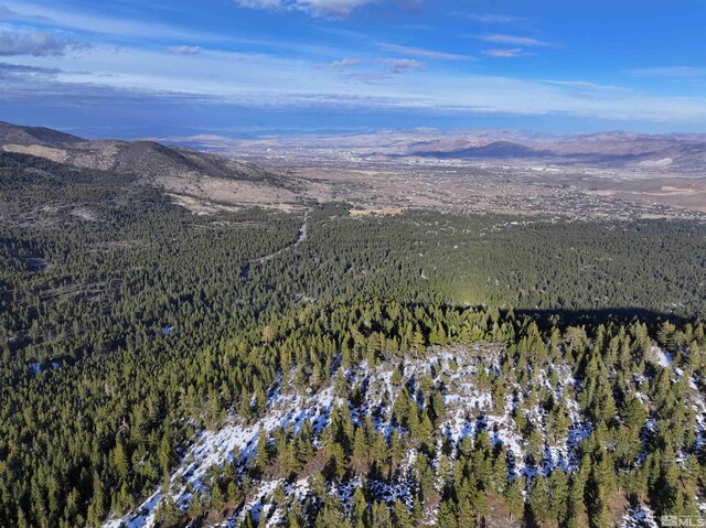 123 Mountain Haven Ln, Reno, NV 89511
