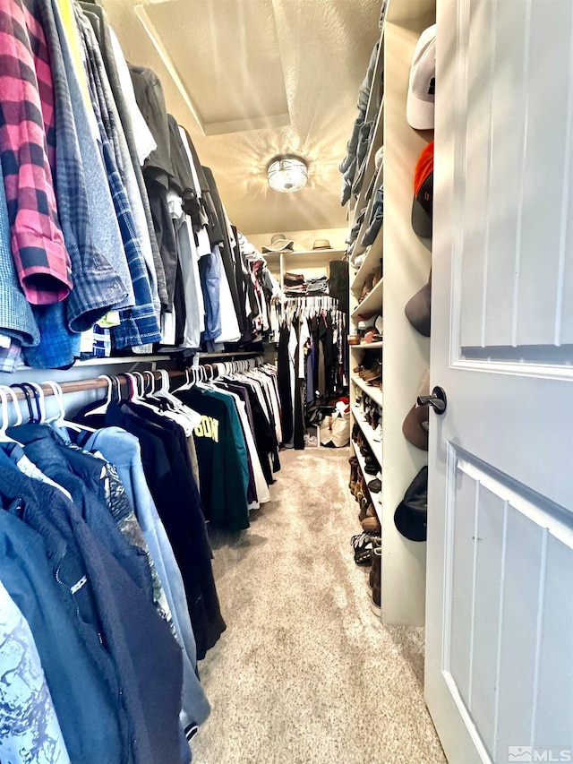 629 Ross St, Winnemucca, NV 89445 - view of walk in closet