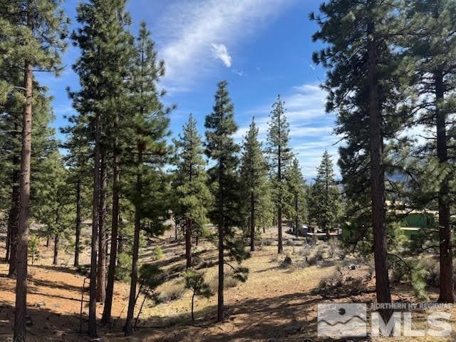 187 Duane Bliss Way, Carson City, NV 89705 - photo 1