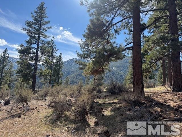 187 Duane Bliss Way, Carson City, NV 89705 - photo 2