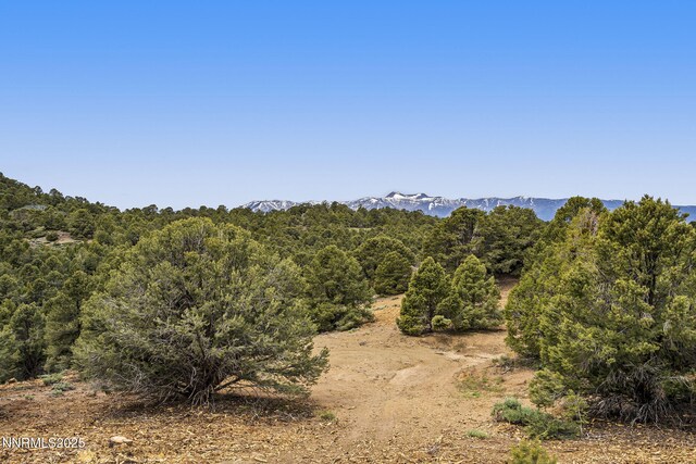 4970 Dry Gulch Rd, Reno, NV 89521 - photo 37
