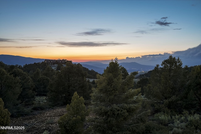 4970 Dry Gulch Rd, Reno, NV 89521 - photo 38