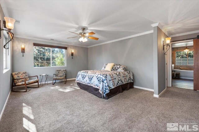 17215 Big Pine Dr, Reno, NV 89511