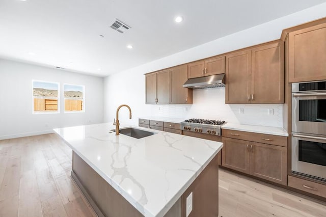 2983 Murrelet Way Unit Cinmon 169, Sparks, NV 89441 - kitchen with a sink, stainless steel appliances, under cabinet range hood, light wood finished floors, and tasteful backsplash