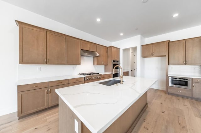 2983 Murrelet Way Unit Cinmon 169, Sparks, NV 89441 - kitchen featuring appliances with stainless steel finishes, under cabinet range hood, light wood finished floors, light stone countertops, and a sink
