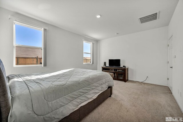 7962 Flint Springs Dr, Sun Valley, NV 89433 - photo 21