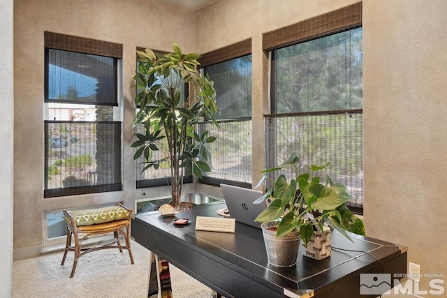 4020 Cocopah Ct, Reno, NV 89511 - office with a textured wall