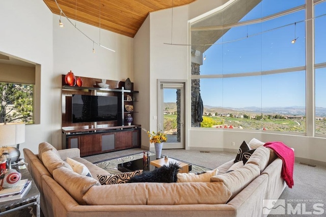 4020 Cocopah Ct, Reno, NV 89511 - carpeted living area featuring wooden ceiling, plenty of natural light, and high vaulted ceiling