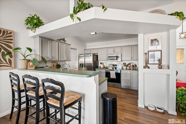 3550 Silverado, Carson City, NV 89705 - kitchen featuring appliances with stainless steel finishes, gray cabinetry, a peninsula, and dark wood-style floors