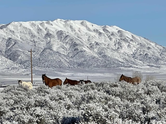 4600 Pasture View Rd, Reno, NV 89510