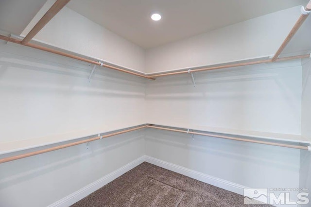 1368 Nevada Pacific Blvd, Fernley, NV 89408 - photo 13