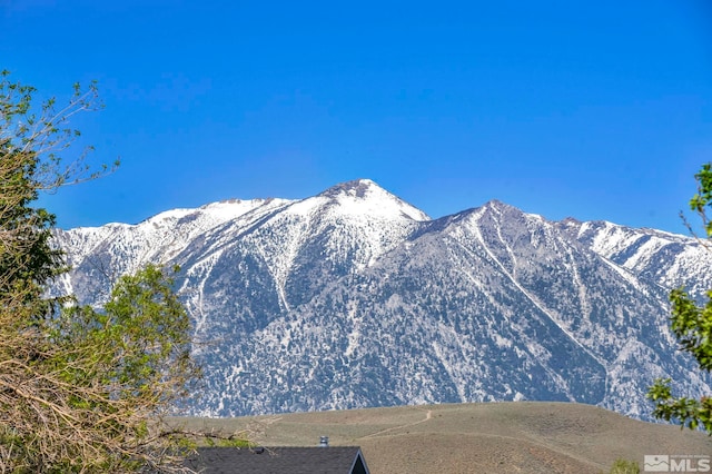 614 Stagecoach Rd, Gardnerville, NV 89410