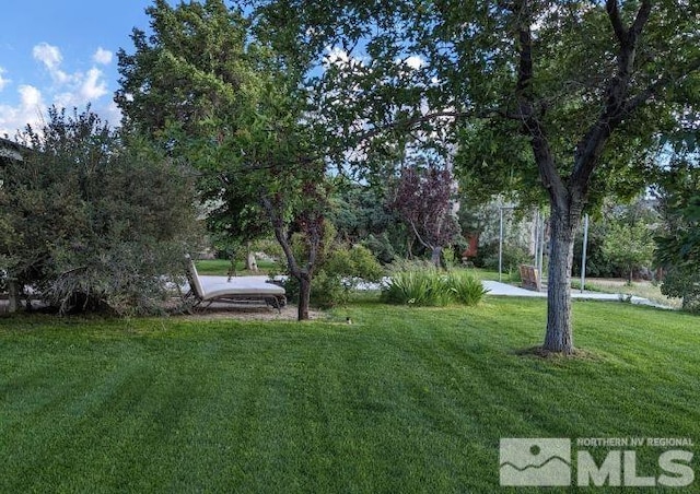 614 Stagecoach Rd, Gardnerville, NV 89410