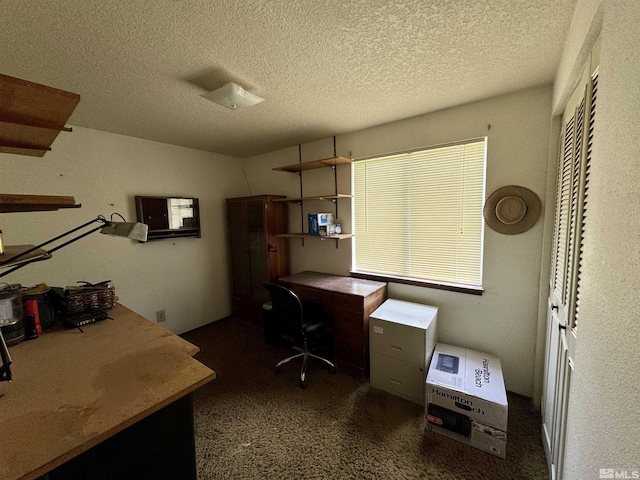 40 Basque Blvd, Orovada, NV 89425
