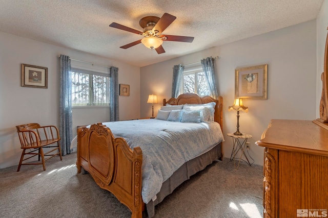 525 Main St, Gerlach, NV 89412 - photo 32