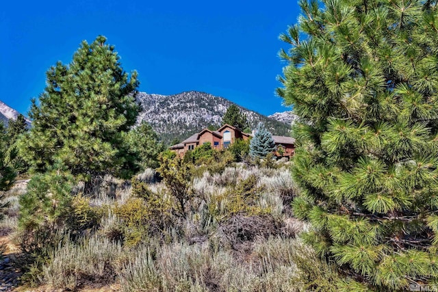 289 Five Crk, Gardnerville, NV 89460