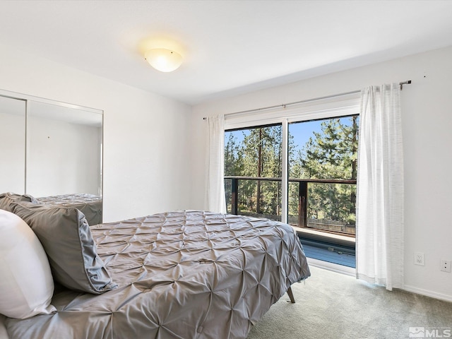 213 Cedar Rdg, Zephyr Cove, NV 89448 - photo 21