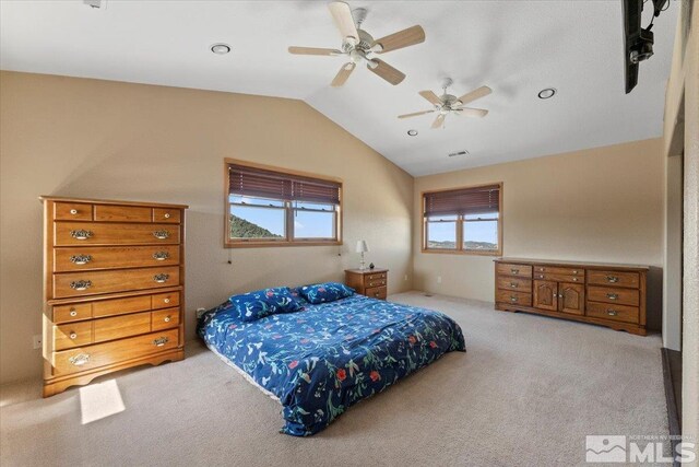21470 Graves Rd, Reno, NV 89521 - photo 4