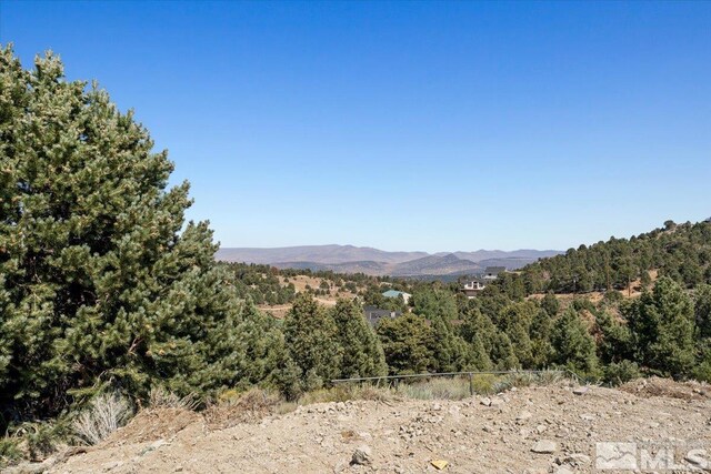 21470 Graves Rd, Reno, NV 89521 - photo 33