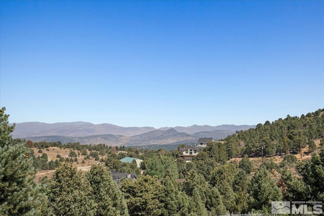 21470 Graves Rd, Reno, NV 89521 - photo 34